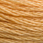 Pale Golden Brown 117A-3827