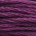 DK Grape 117A-3834