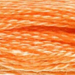 LT Orange Spice 117A-722