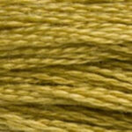 LT Golden Olive 117A-833