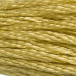 V LT Golden Olive 117A-834