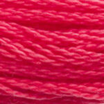 DK Carnation 117A-891