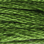 DK Parrot Green 117A-905