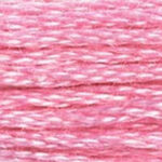 LT Cranberry 117A-604