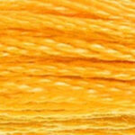 LT Tangerine 117A-742