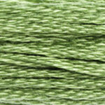 Forest Green 117A-989